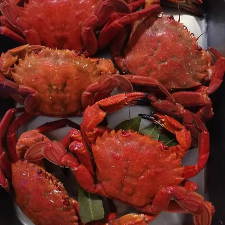 게스트하우스 Casa Pachin 3*