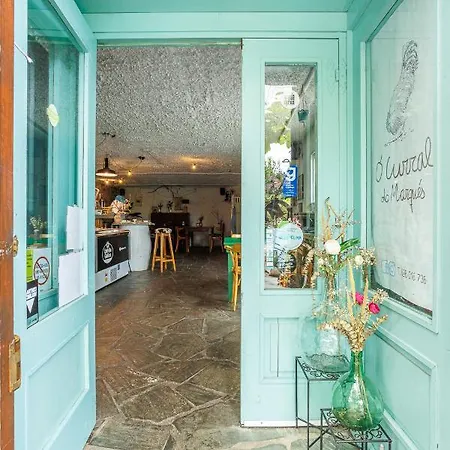 Guest house Casa Pachin