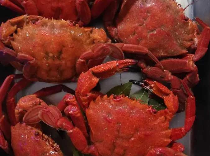 بيت ضيافة Casa Pachin 3*