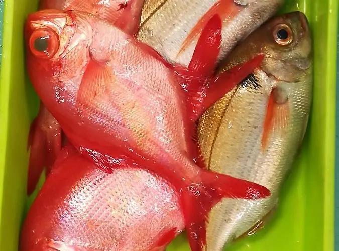 بيت ضيافة Casa Pachin 3*