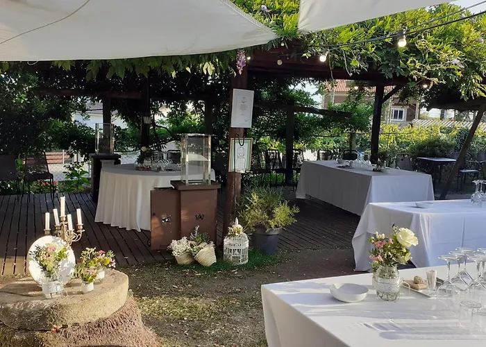 Casa Pachin Pensionat 3*