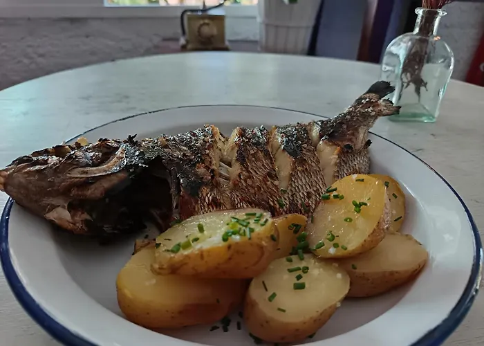 Casa Pachin بيت ضيافة تراغونيا